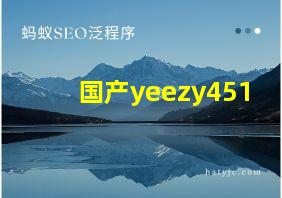 国产yeezy451