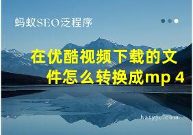 在优酷视频下载的文件怎么转换成mp 4