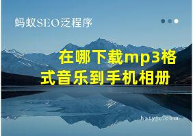 在哪下载mp3格式音乐到手机相册