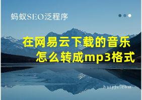 在网易云下载的音乐怎么转成mp3格式