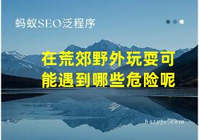 在荒郊野外玩耍可能遇到哪些危险呢