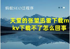 天堂的张望迅雷下载mkv下载不了怎么回事