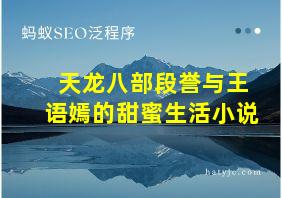 天龙八部段誉与王语嫣的甜蜜生活小说