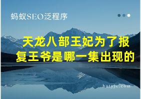 天龙八部王妃为了报复王爷是哪一集出现的