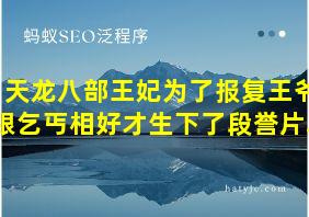 天龙八部王妃为了报复王爷跟乞丐相好才生下了段誉片段