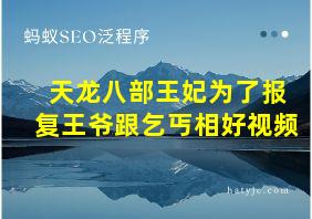 天龙八部王妃为了报复王爷跟乞丐相好视频