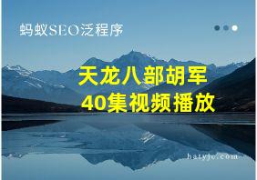 天龙八部胡军40集视频播放