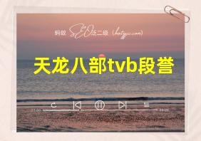 天龙八部tvb段誉