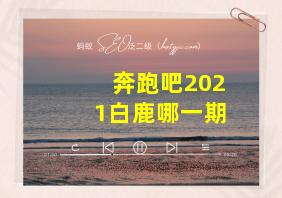 奔跑吧2021白鹿哪一期