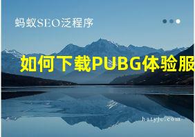 如何下载PUBG体验服