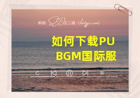 如何下载PUBGM国际服