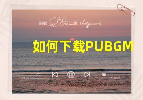 如何下载PUBGM