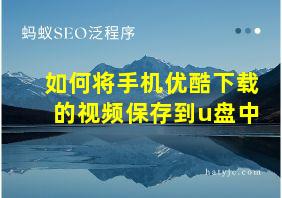 如何将手机优酷下载的视频保存到u盘中