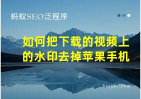 如何把下载的视频上的水印去掉苹果手机