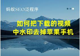 如何把下载的视频中水印去掉苹果手机