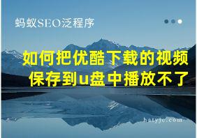 如何把优酷下载的视频保存到u盘中播放不了