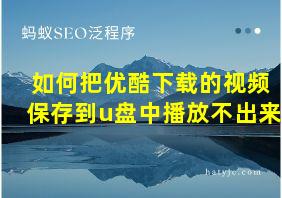 如何把优酷下载的视频保存到u盘中播放不出来