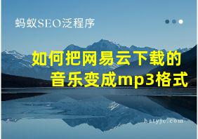 如何把网易云下载的音乐变成mp3格式