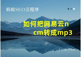 如何把网易云ncm转成mp3