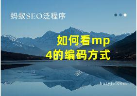 如何看mp4的编码方式