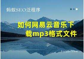 如何网易云音乐下载mp3格式文件