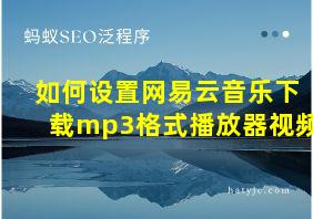 如何设置网易云音乐下载mp3格式播放器视频