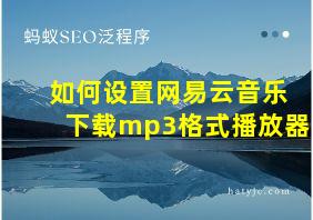 如何设置网易云音乐下载mp3格式播放器