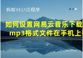 如何设置网易云音乐下载mp3格式文件在手机上面