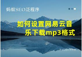 如何设置网易云音乐下载mp3格式