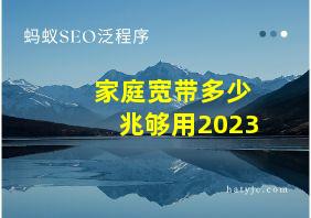 家庭宽带多少兆够用2023