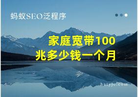 家庭宽带100兆多少钱一个月