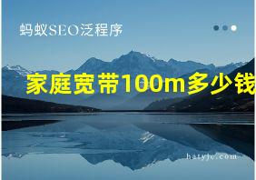 家庭宽带100m多少钱