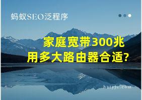 家庭宽带300兆用多大路由器合适?