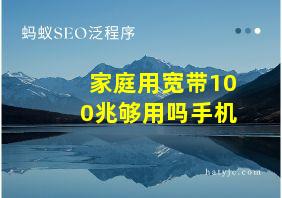 家庭用宽带100兆够用吗手机