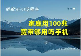 家庭用100兆宽带够用吗手机