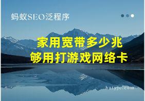 家用宽带多少兆够用打游戏网络卡