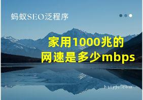 家用1000兆的网速是多少mbps