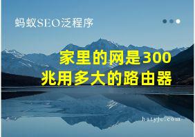 家里的网是300兆用多大的路由器