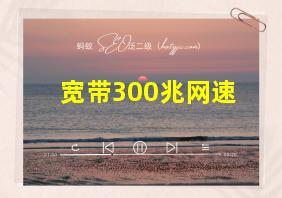 宽带300兆网速