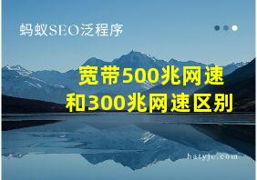 宽带500兆网速和300兆网速区别