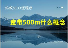 宽带500m什么概念