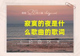 寂寞的夜是什么歌曲的歌词