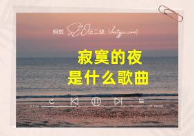 寂寞的夜是什么歌曲