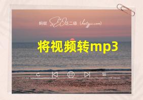 将视频转mp3