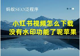 小红书视频怎么下载没有水印功能了呢苹果