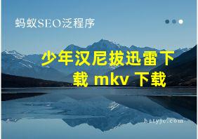 少年汉尼拔迅雷下载 mkv 下载