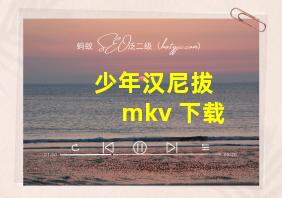 少年汉尼拔 mkv 下载