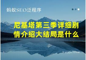 尼基塔第三季详细剧情介绍大结局是什么