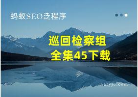 巡回检察组全集45下载