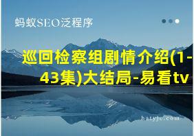 巡回检察组剧情介绍(1-43集)大结局-易看tv